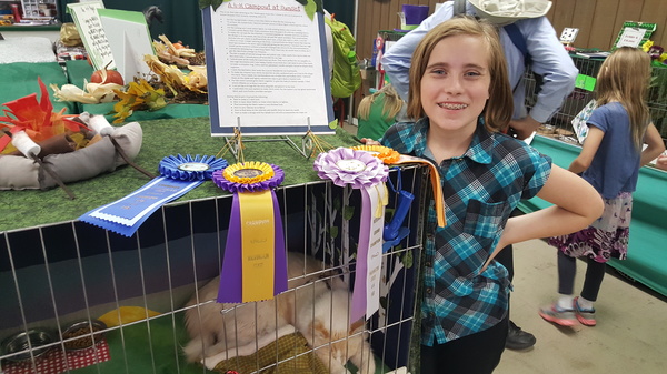 Award Winning Cat