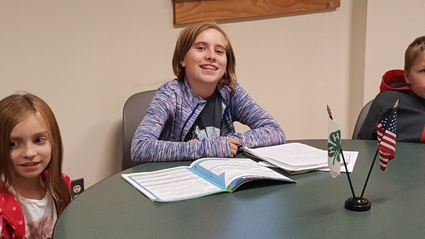 Leading a 4-H Meeting