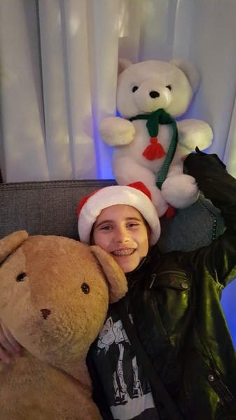 Teddy Bear Suite