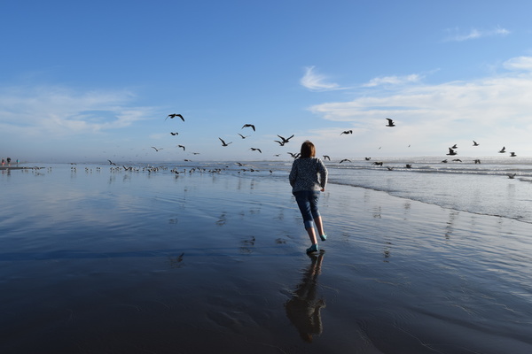 Kalaloch