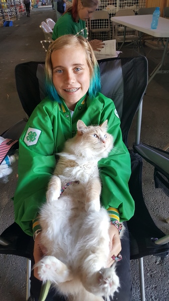 4-H