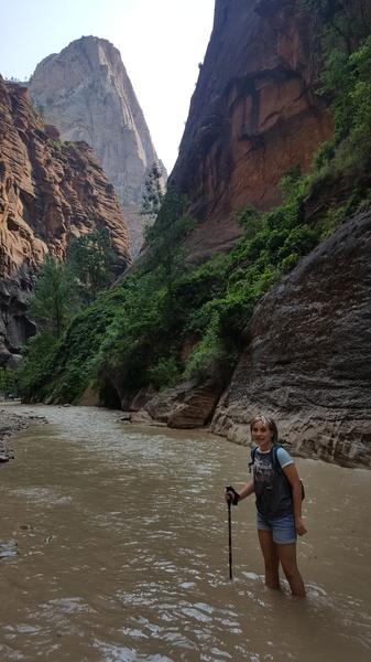 The Narrows at Zion
