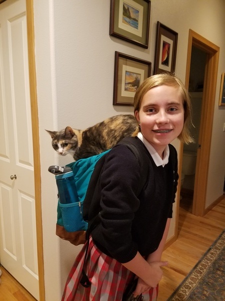 Cat Pack