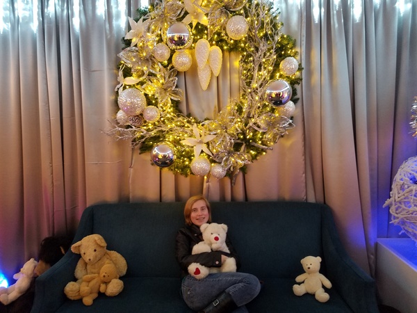 Teddy Bear Suite