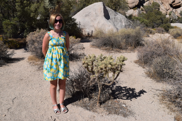 Joshua Tree National Park