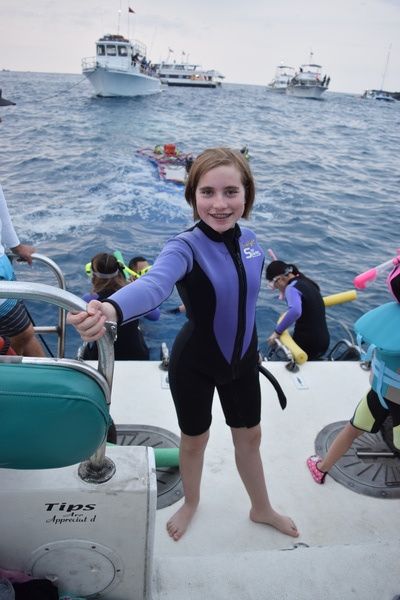 Ready to See Manta Rays