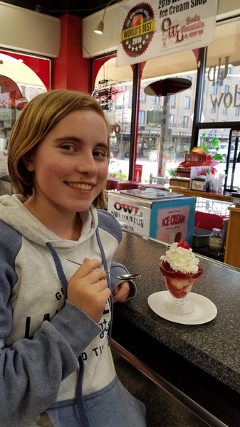 Owl Soda Fountain