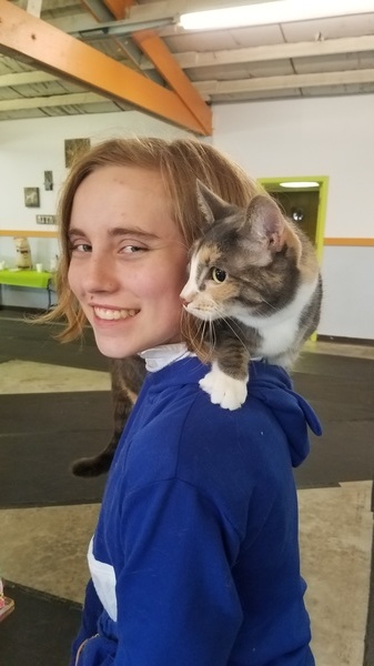 Molly Cat