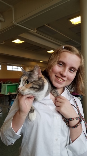 Cat Show