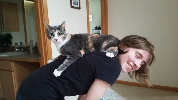 Back Cat