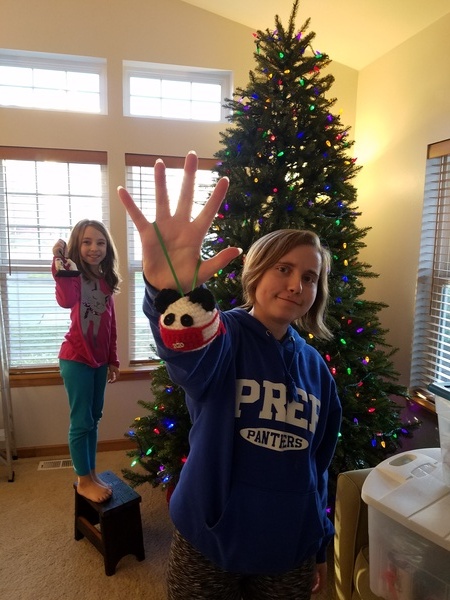 Pandemic Ornament