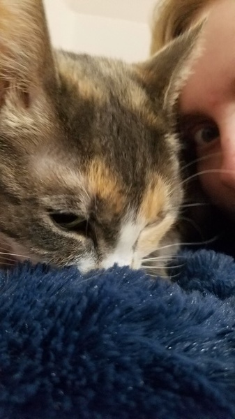 Bedtime for Molly