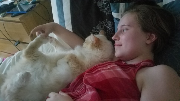 Staying Cool with Henry