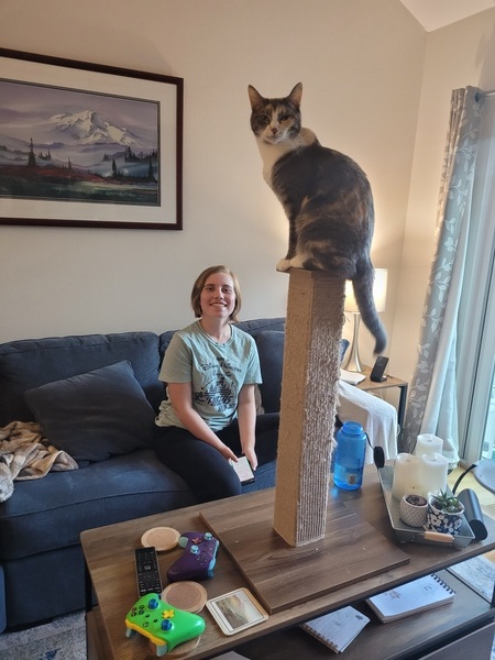 Cat Post