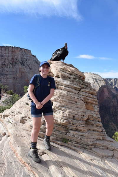 Angels Landing Condor