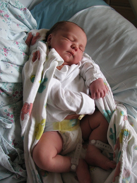 Half Day Old