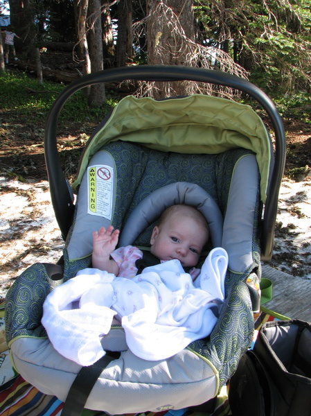 Picnic Pit Stop