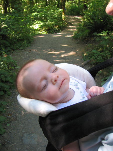 Sleepy Hiker