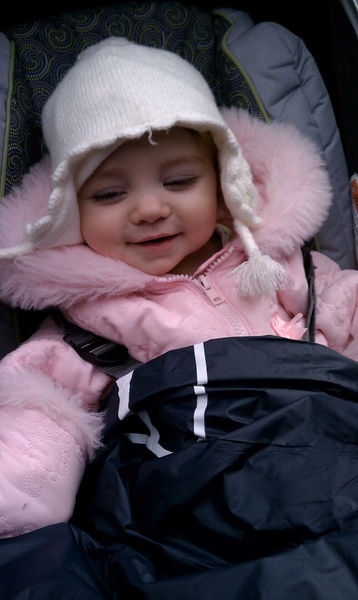 Outfitted for the Cold Zoo