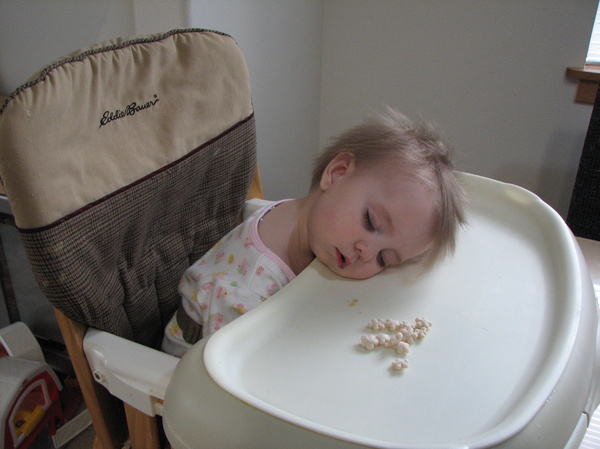 Asleep at the Meal