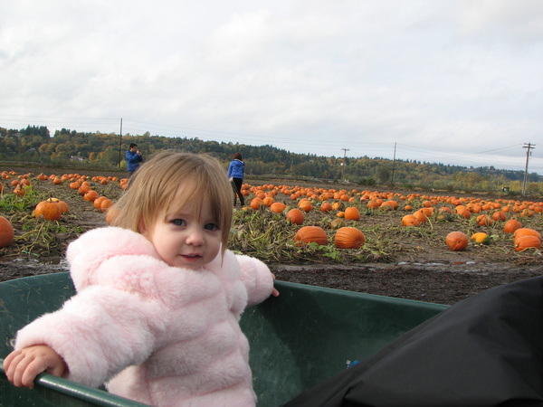 Fun at the Pumpkin Patch