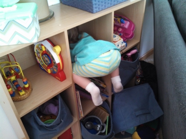 Cubby Climber