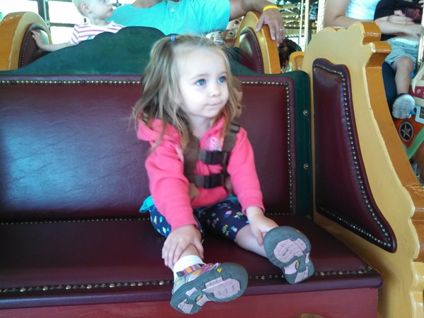 Zoo Carousel