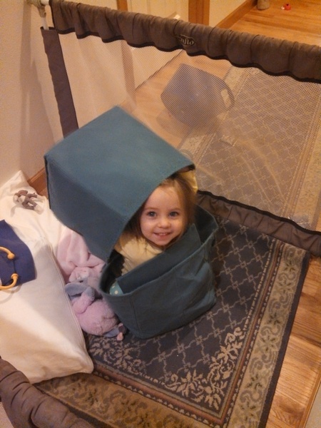 Peek a Boo