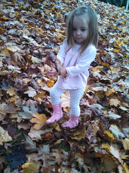 Playing in the Leaves