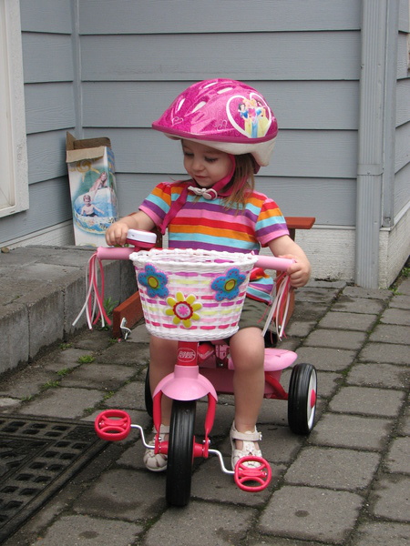 New Trike