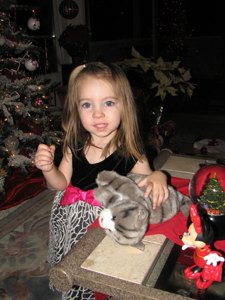 Christmas Kitty