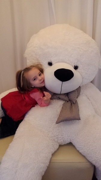 Teddy Bear Suite