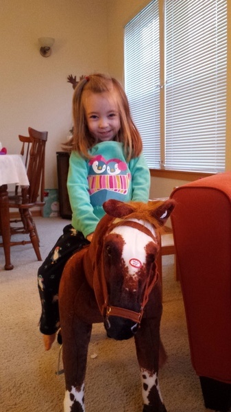 Cow Girl