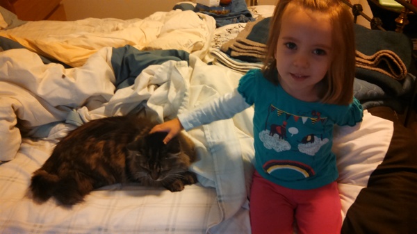 Petting Captain