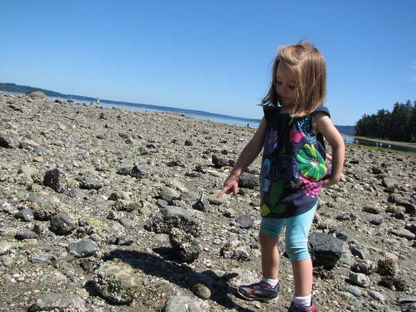 Penrose Point