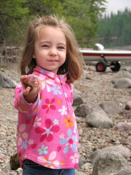 Lake McDonald Rock