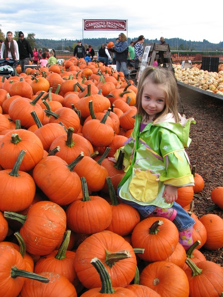 Pumpkin Climber