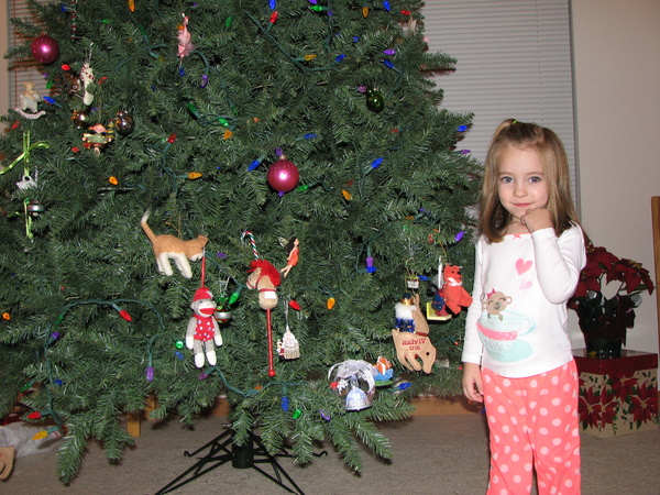 Hanging Ornaments