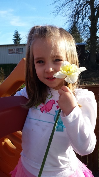 Springtime in the Backyard