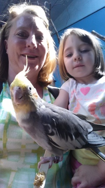 Feeding the Birds