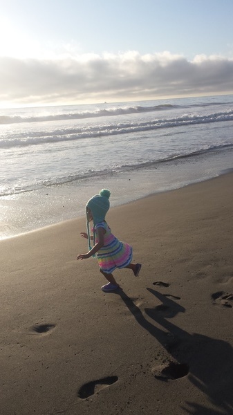 Redwood Creek Beach