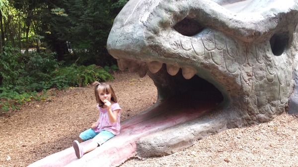 Dragon Play Structure