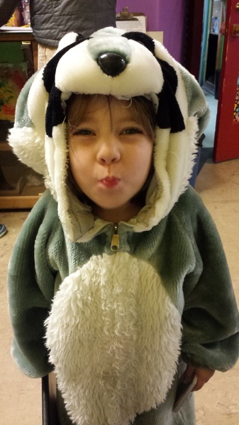Little Racoon