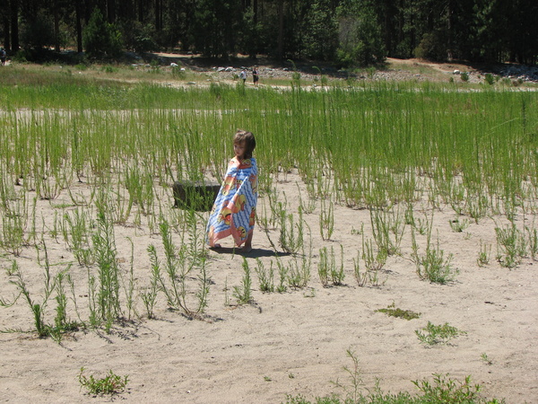 Bass Lake Beach