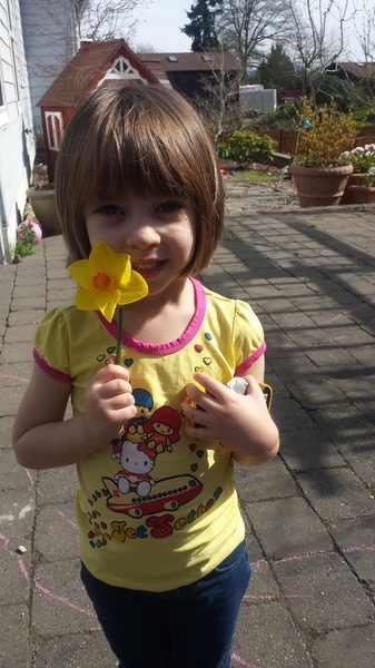 Daffodil