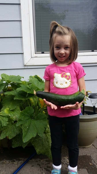 Vivian's Zucchini