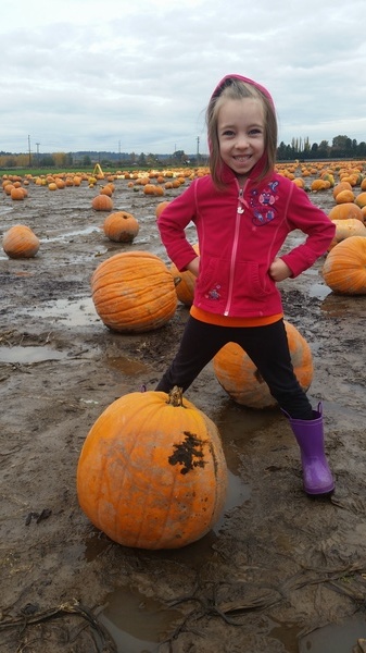 Vivian's Pumpkin