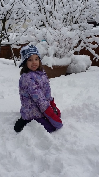 Snow Day