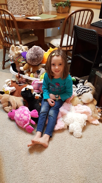 Too Many Stuffed Animals