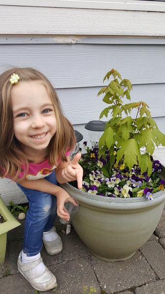 Vivian's Garden